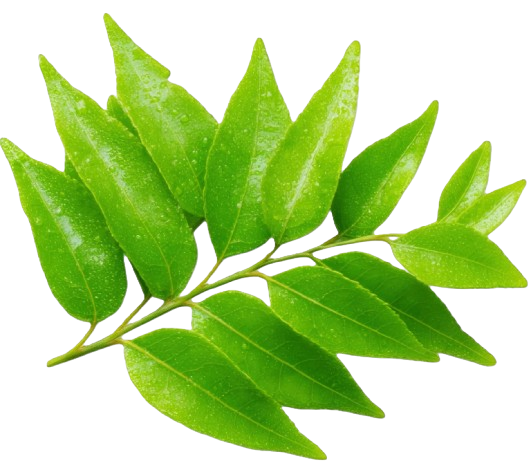 418978597 632fba40 0145 4422 bed8 96f2741e4874 removebg preview